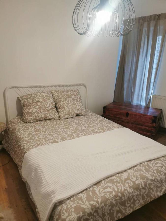 Santocha : Appartement En Plein Coeur De Ville ! Carcassonne Exteriör bild