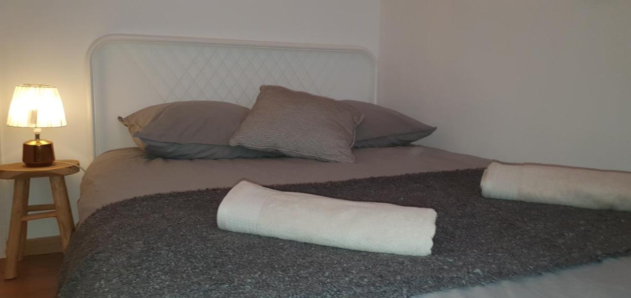 Santocha : Appartement En Plein Coeur De Ville ! Carcassonne Exteriör bild