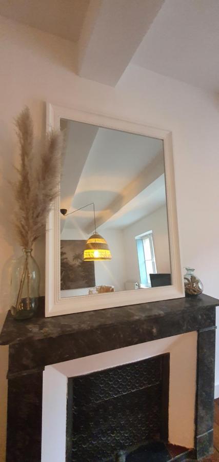 Santocha : Appartement En Plein Coeur De Ville ! Carcassonne Exteriör bild