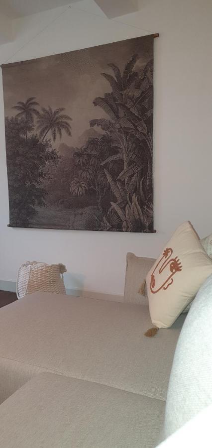 Santocha : Appartement En Plein Coeur De Ville ! Carcassonne Exteriör bild